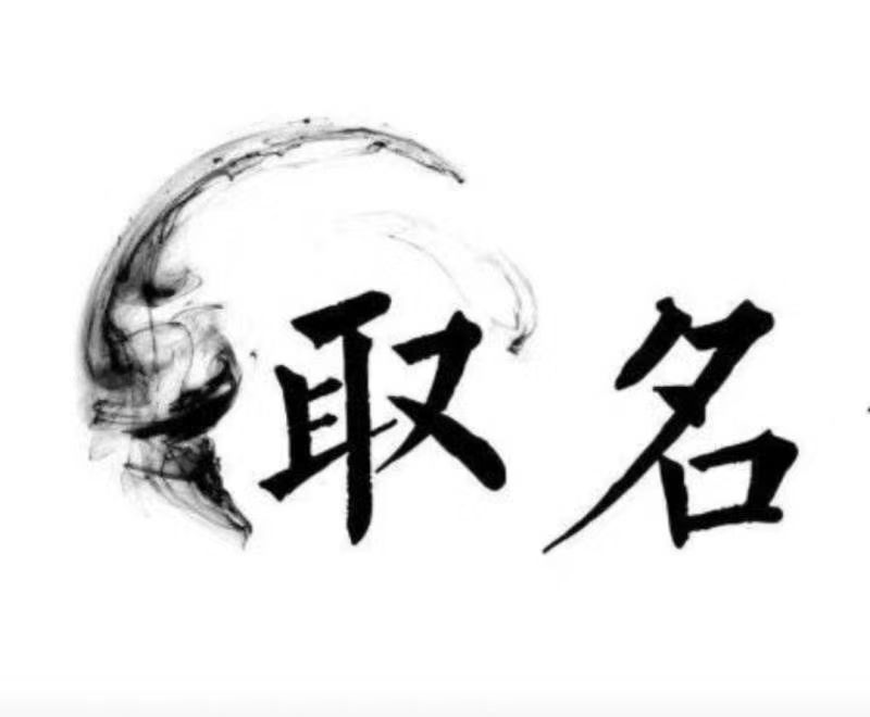  海兴宝宝取名 大师一对一人工起名